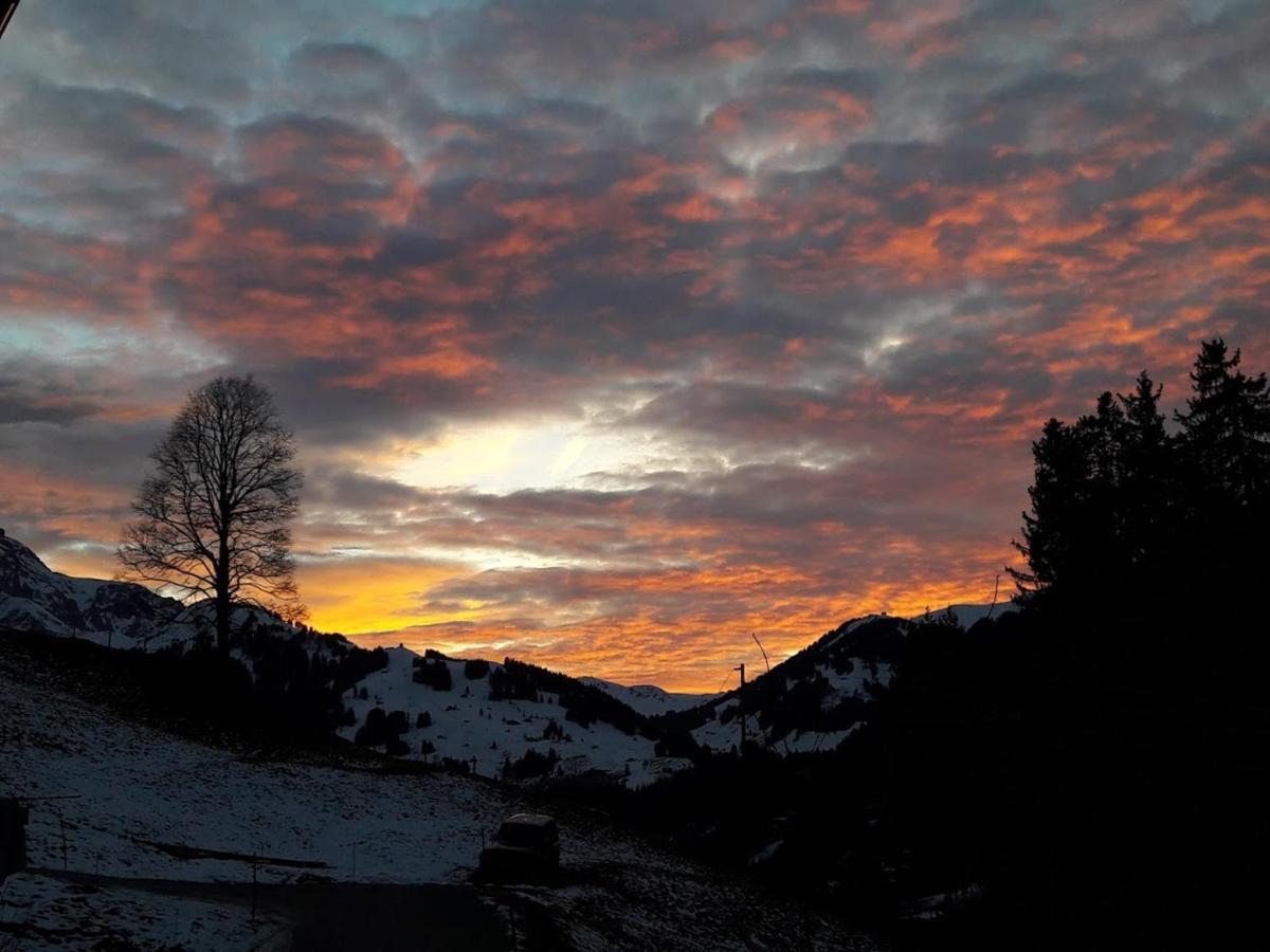 Ferien In Der Bergwelt Von Adelboden Bed & Breakfast ภายนอก รูปภาพ