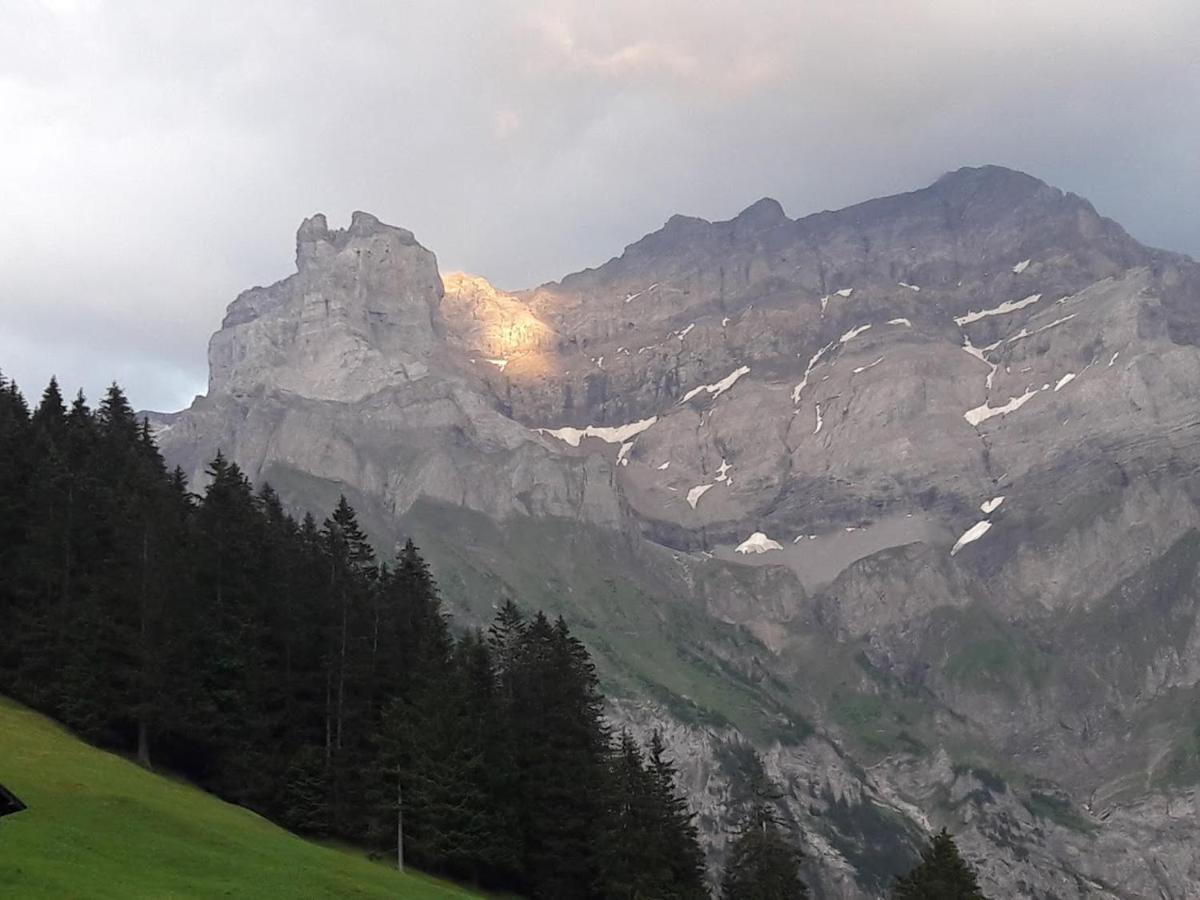 Ferien In Der Bergwelt Von Adelboden Bed & Breakfast ภายนอก รูปภาพ