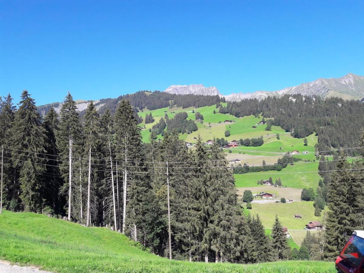 Ferien In Der Bergwelt Von Adelboden Bed & Breakfast ภายนอก รูปภาพ